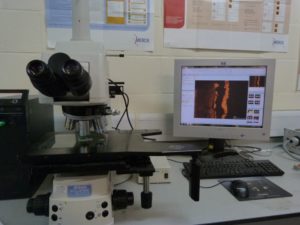 Optical Microscopy Inspection